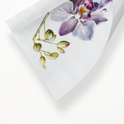 Orchids IV - Art Print