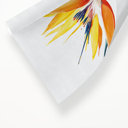 Strelitzia III - Art Print