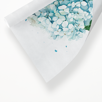 Hydrangea 4 - Art Print