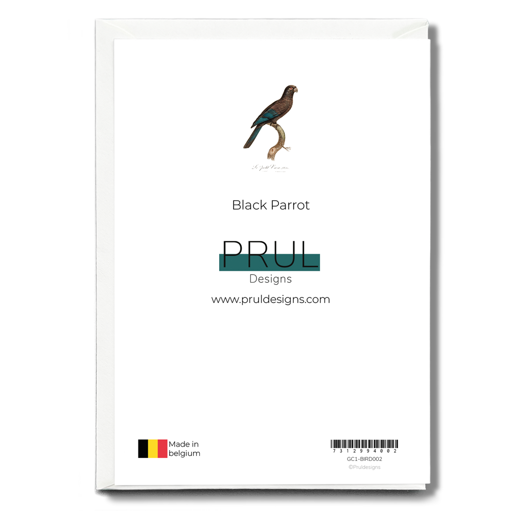 Black Parrot - Wenskaart