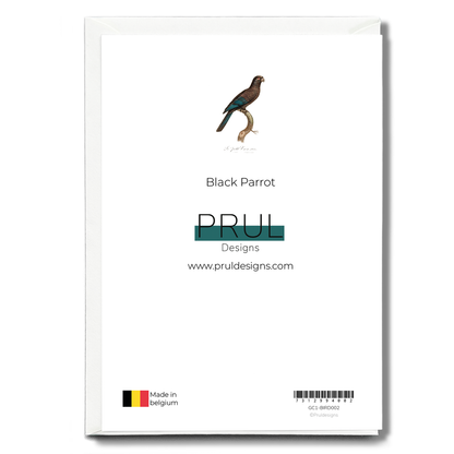 Black Parrot - Wenskaart