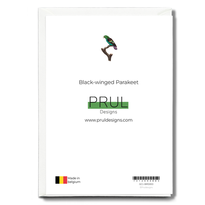 Black-winged Parakeet - Wenskaart