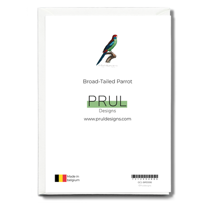 Broad-Tailed Parrot - Wenskaart