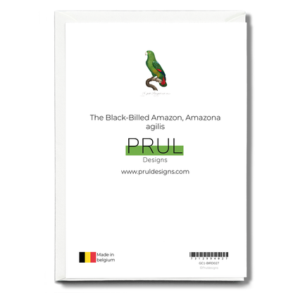 The Black-Billed Amazon, Amazona agilis  - Wenskaart