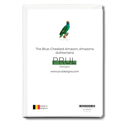 The Blue-Cheeked Amazon, Amazona dufresniana  - Wenskaart