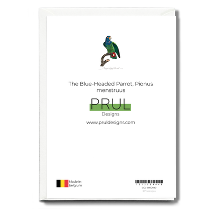 The Blue-Headed Parrot, Pionus menstruus  - Wenskaart