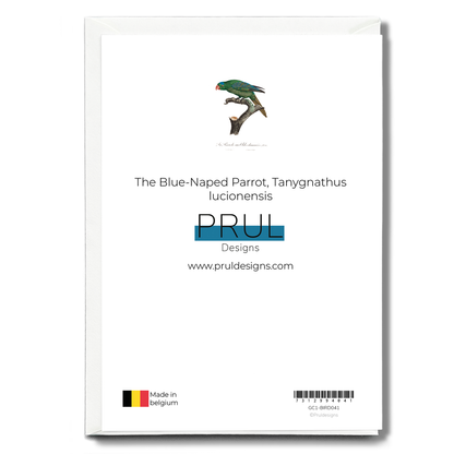 The Blue-Naped Parrot, Tanygnathus lucionensis  - Wenskaart