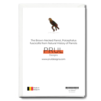 The Brown-Necked Parrot, Poicephalus fuscicollis from Natural History of Parrots - Wenskaart