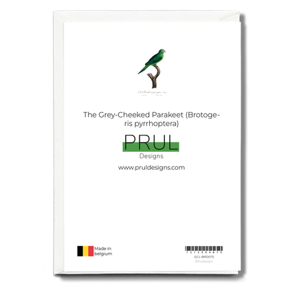 The Grey-Cheeked Parakeet (Brotogeris pyrrhoptera)  - Wenskaart