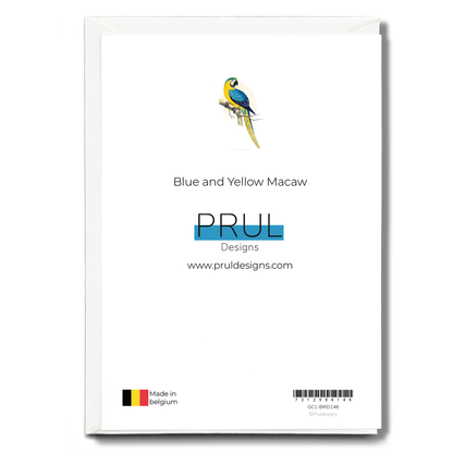 Blue and Yellow Macaw - Wenskaart