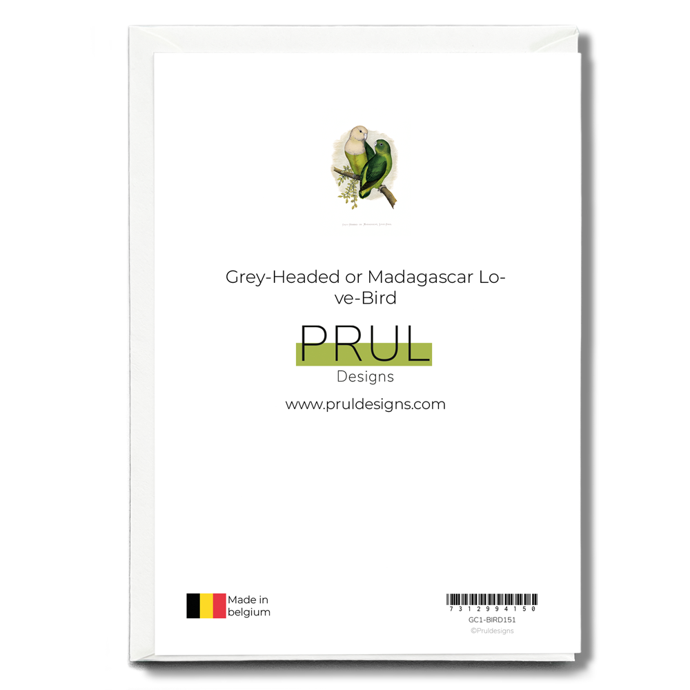 Grey-Headed or Madagascar Love-Bird - Wenskaart