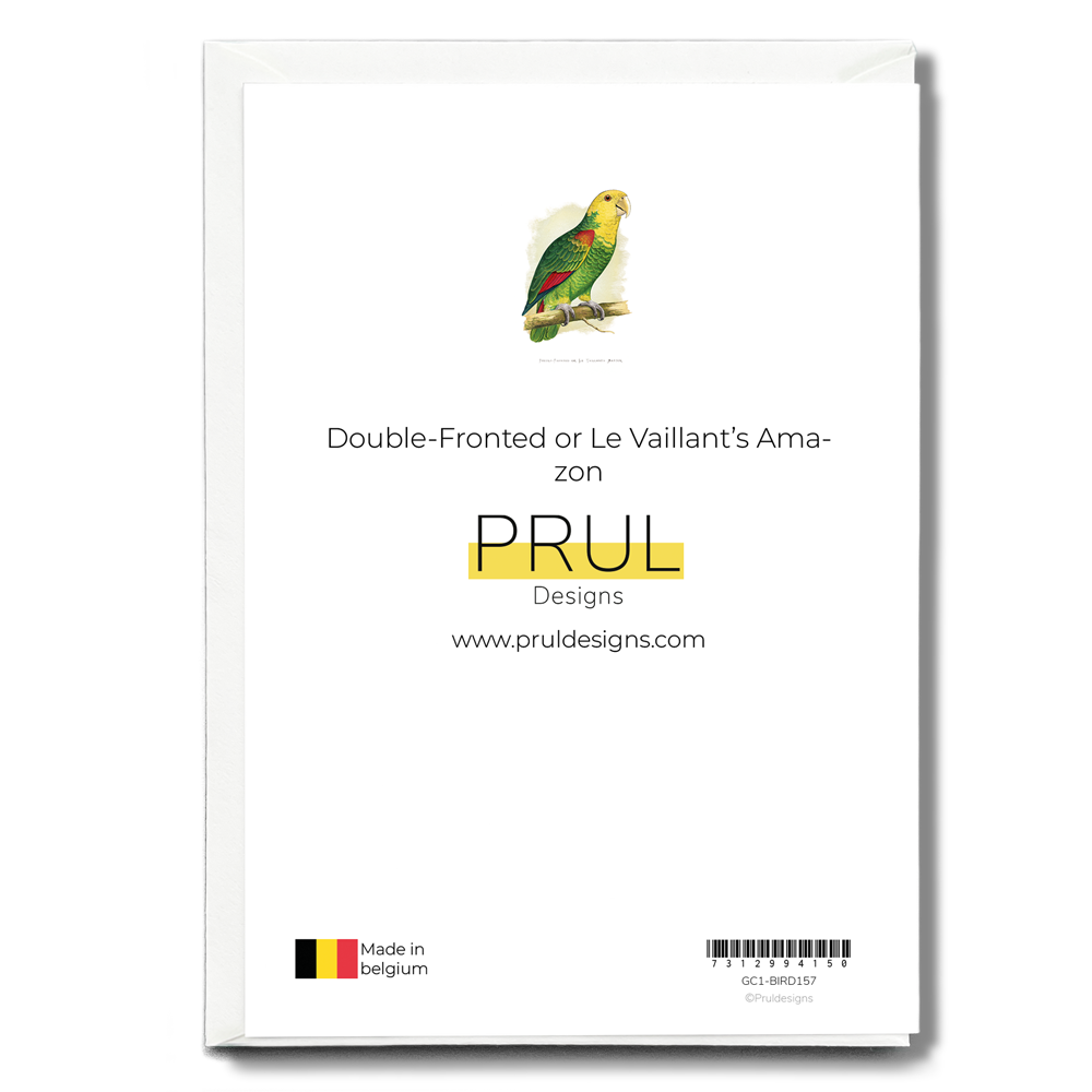 Double-Fronted or Le Vaillant's Amazon - Wenskaart