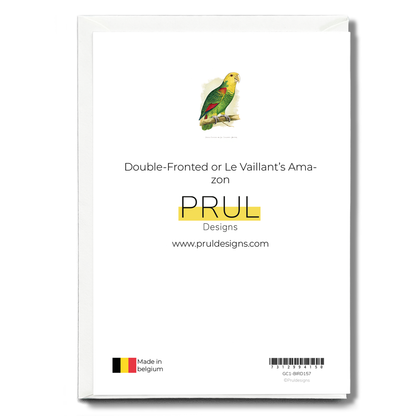 Double-Fronted or Le Vaillant's Amazon - Wenskaart