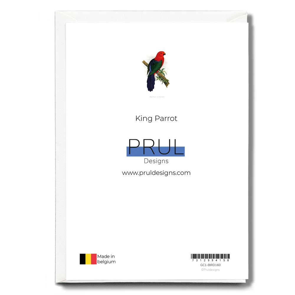 King Parrot - Wenskaart