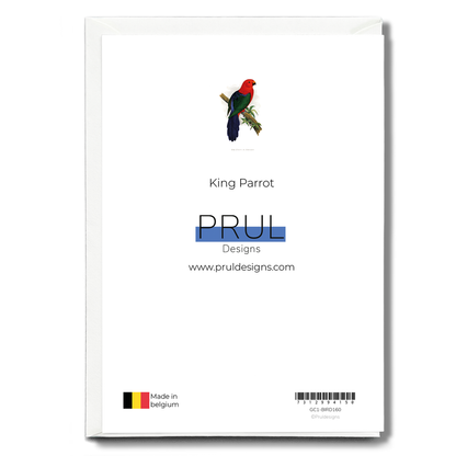 King Parrot - Wenskaart