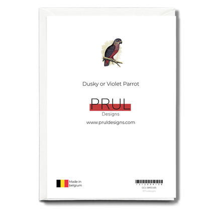 Dusky or Violet Parrot - Wenskaart