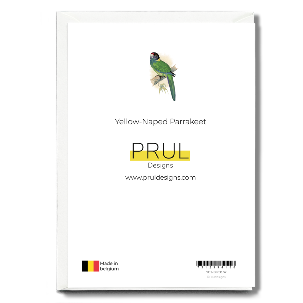 Yellow-Naped Parrakeet - Wenskaart