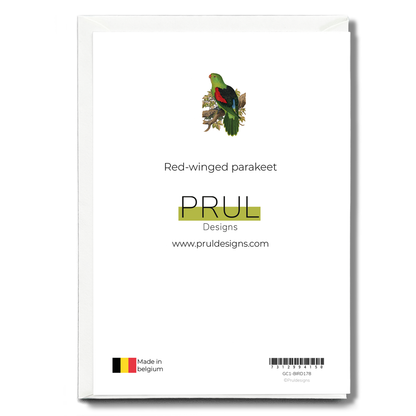 Red-winged parakeet - Wenskaart