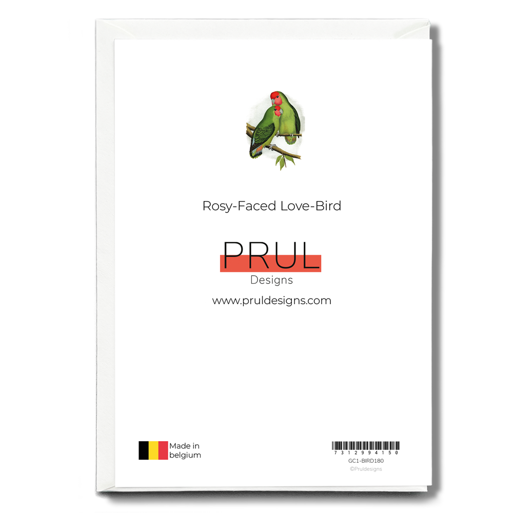 Rosy-Faced Love-Bird - Wenskaart
