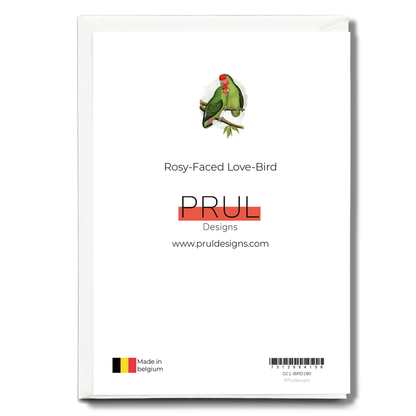 Rosy-Faced Love-Bird - Wenskaart