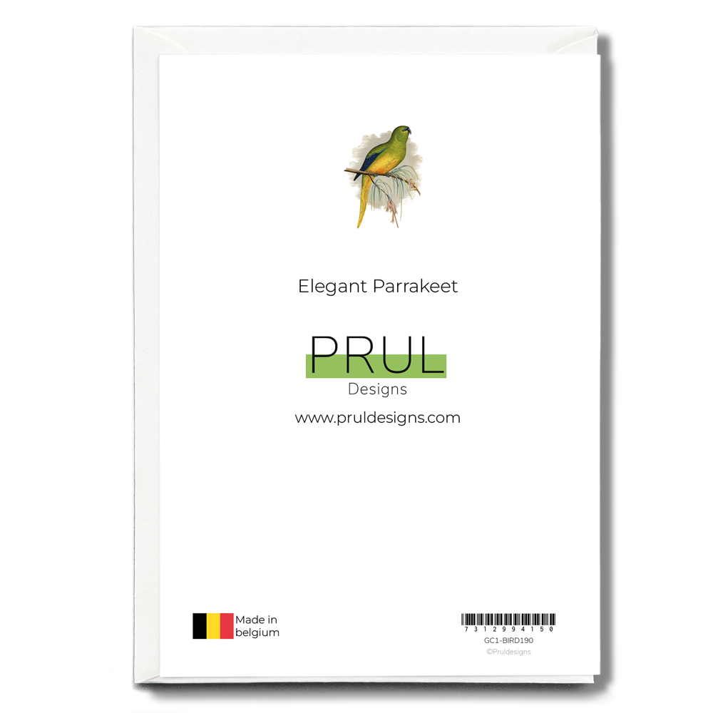Elegant Parrakeet - Wenskaart