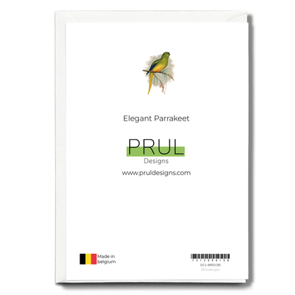 Elegant Parrakeet - Wenskaart