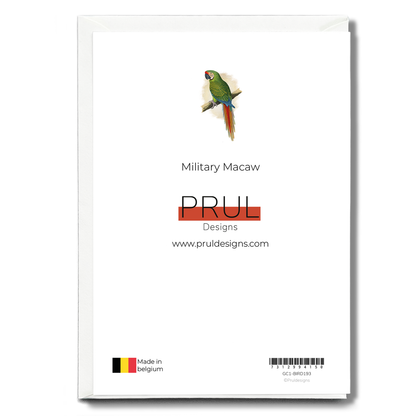 Military Macaw - Wenskaart