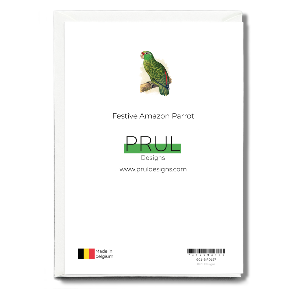 Festive Amazon Parrot - Wenskaart