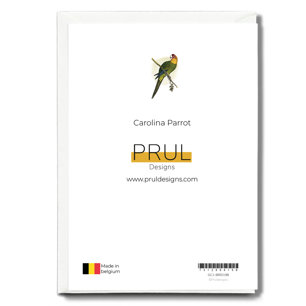 Carolina Parrot - Wenskaart