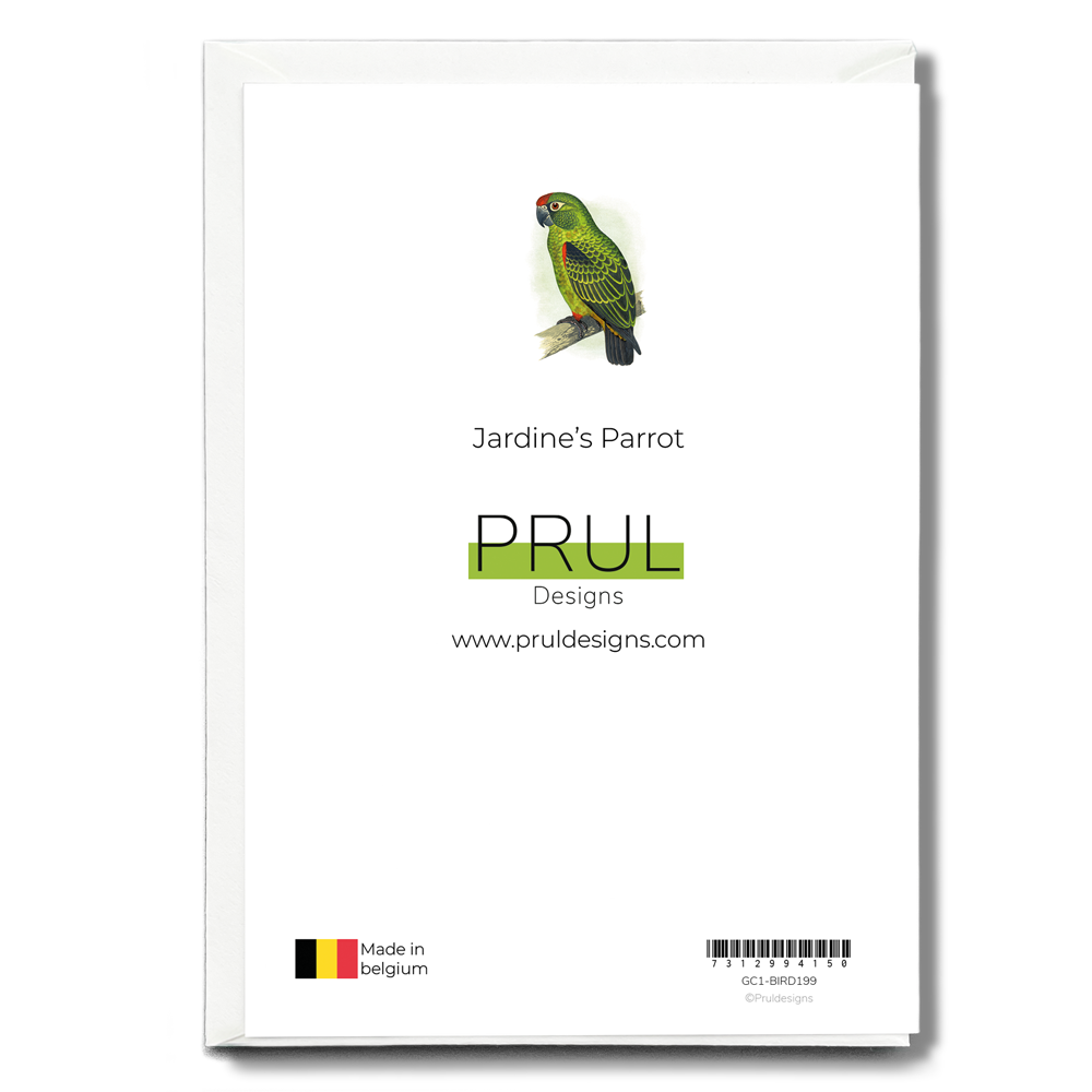 Jardine's Parrot - Wenskaart