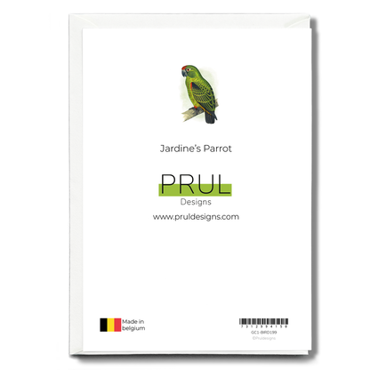Jardine's Parrot - Wenskaart