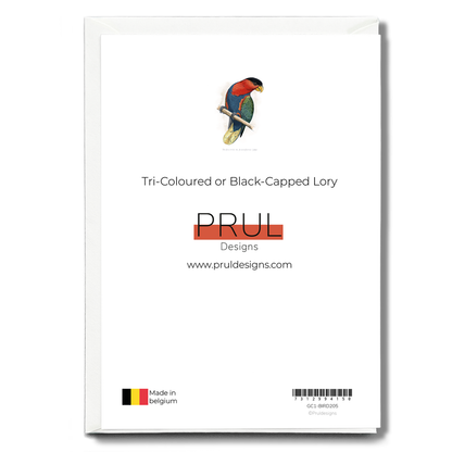 Tri-Coloured or Black-Capped Lory  - Wenskaart