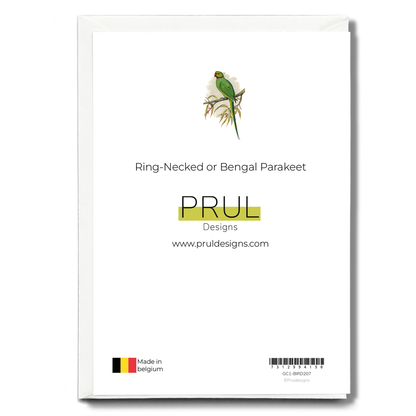 Ring-Necked or Bengal Parakeet  - Wenskaart