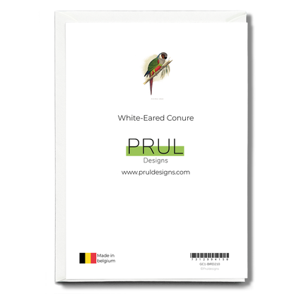 White-Eared Conure - Wenskaart