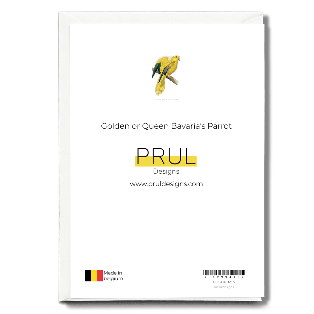 Golden or Queen Bavaria's Parrot  - Wenskaart