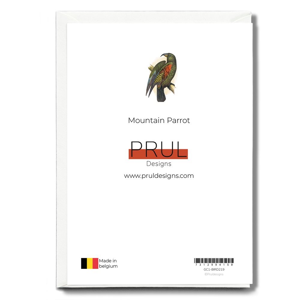 Mountain Parrot - Wenskaart