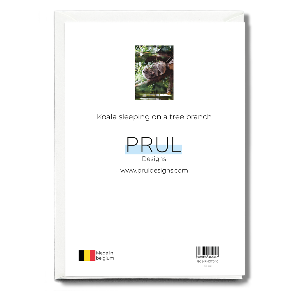 Koala sleeping on a tree branch - Greeting Card