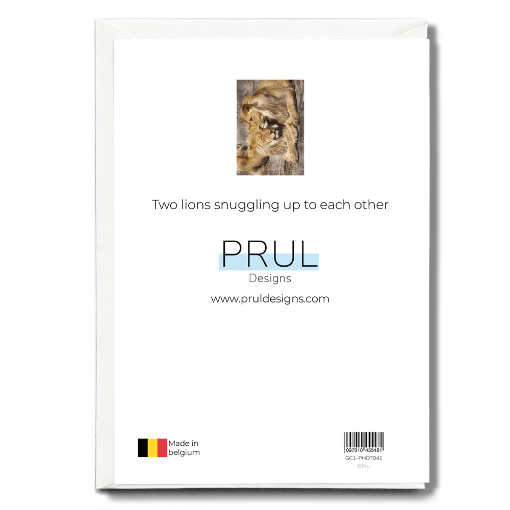 Two lions snuggling up to each other  - Greeting Card