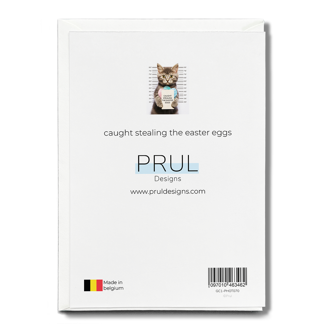 caught stealing the easter eggs - Greeting Card