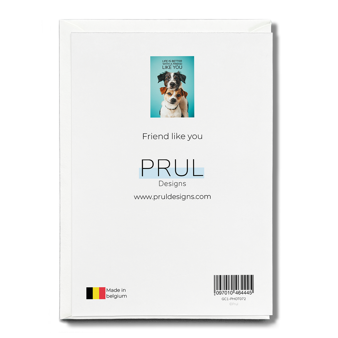Friend like you - Greeting Card