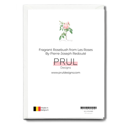 Fragrant Rosebush from Les Roses By Pierre-Joseph Redouté - Wenskaart