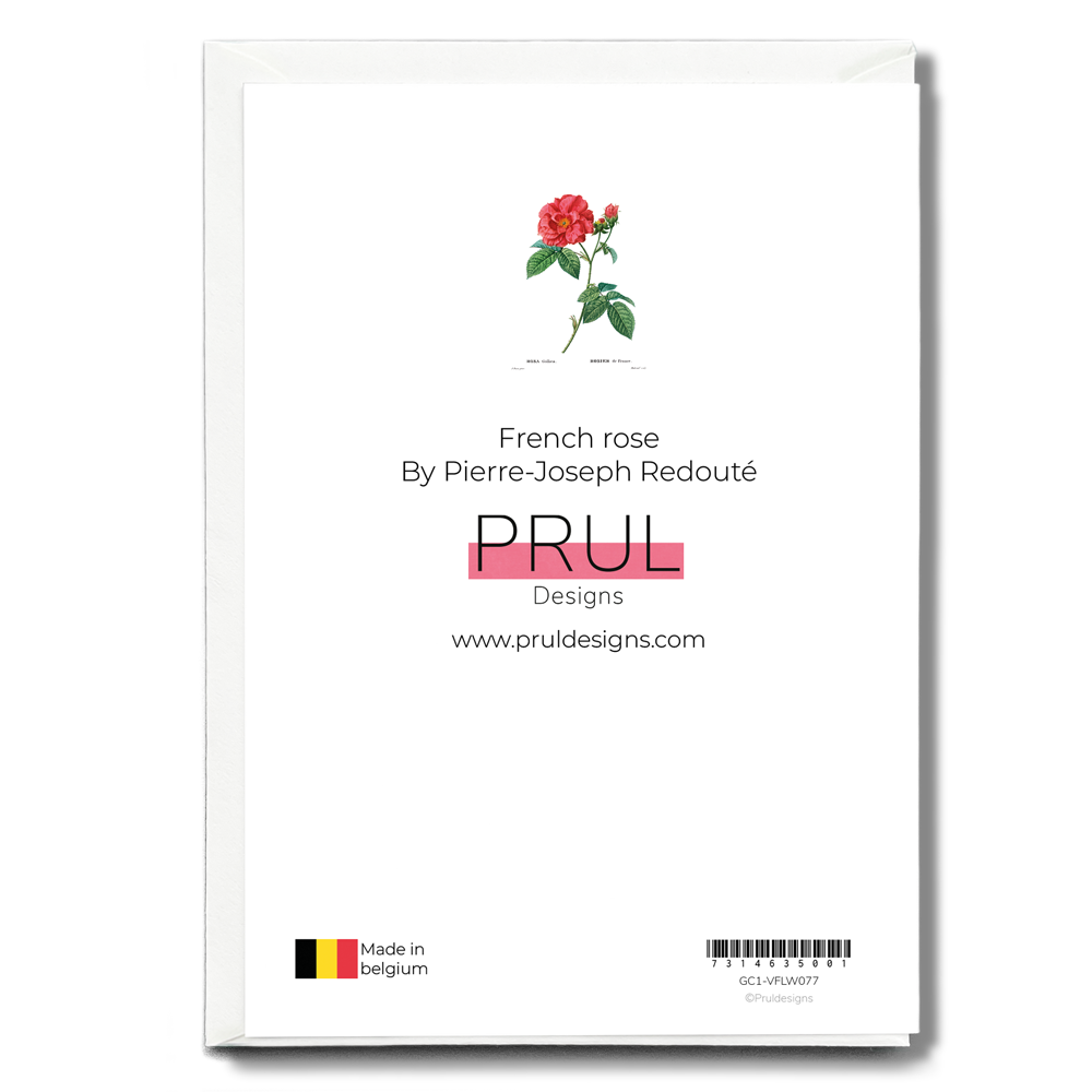 French rose By Pierre-Joseph Redouté - Wenskaart