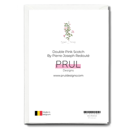Double Pink Scotch By Pierre-Joseph Redouté - Wenskaart