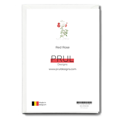 Red Rose - Wenskaart