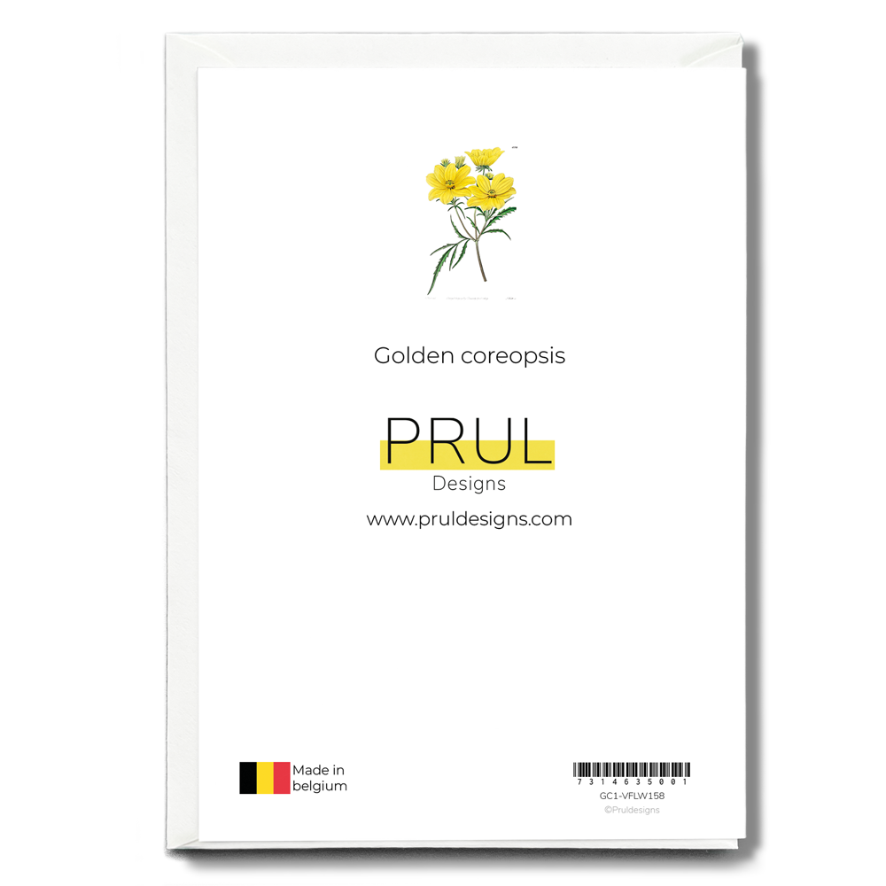 Golden coreopsis - Wenskaart