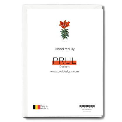 Blood red lily - Wenskaart