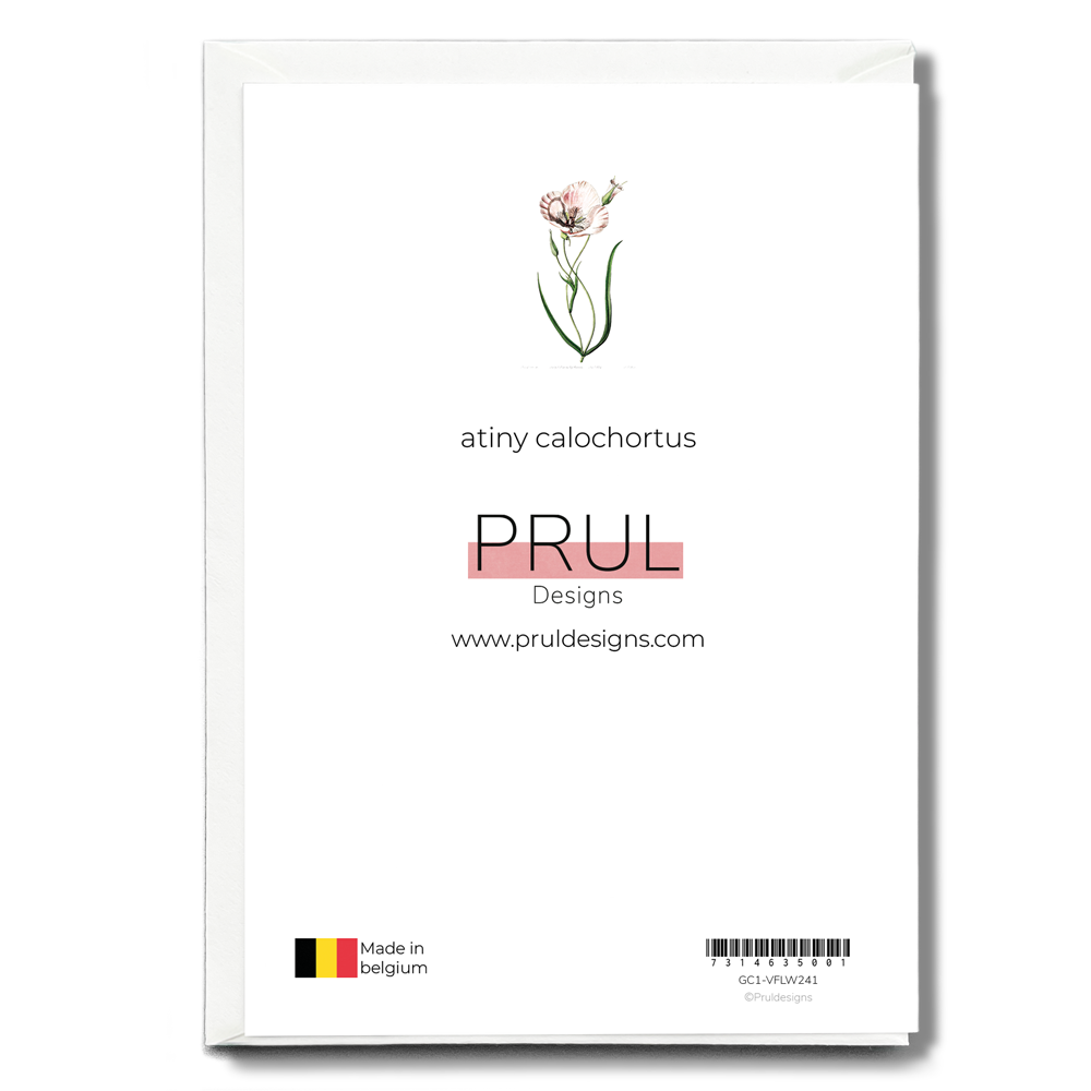 atiny calochortus - Wenskaart