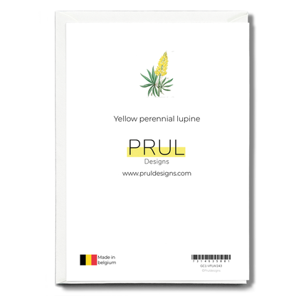 Yellow perennial lupine - Wenskaart