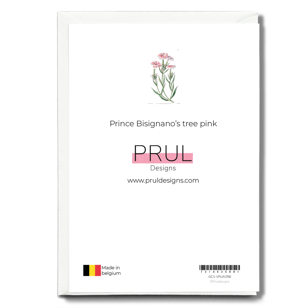 Prince Bisignano's tree pink - Wenskaart