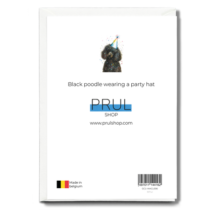 Black poodle wearing a party hat - Greeting Card